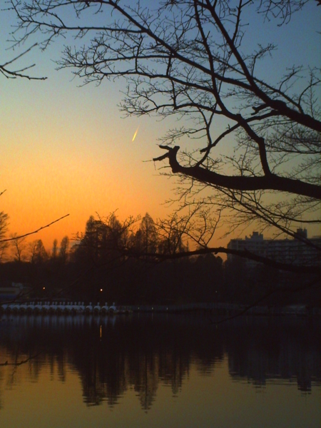 f:id:Full2yn:20100301001839j:image