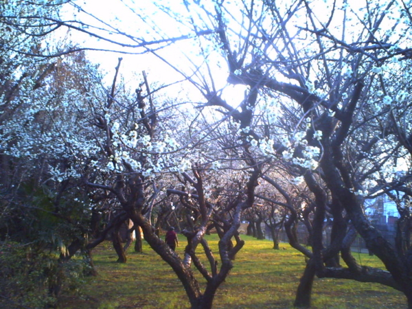 f:id:Full2yn:20100301001840j:image