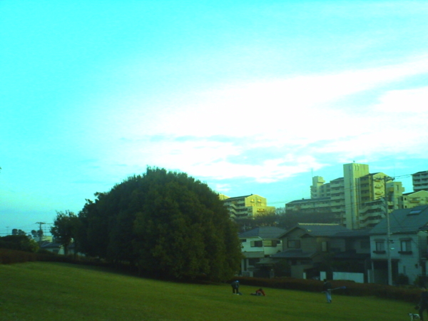 f:id:Full2yn:20100301001841j:image