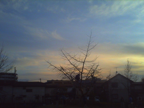 f:id:Full2yn:20100301001843j:image