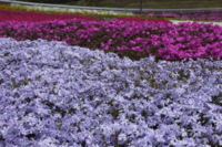 20110424113949