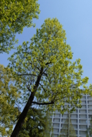 20110425124422