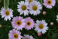 20110425131951