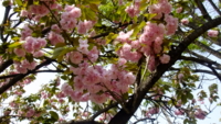 20110426140135