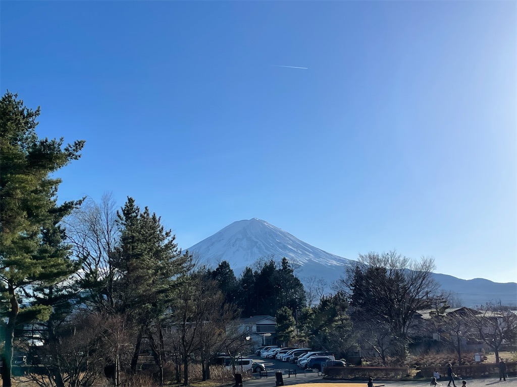 f:id:Fumirp0924:20241231224452j:image f:id:Fumirp0924:20241231224452j:image