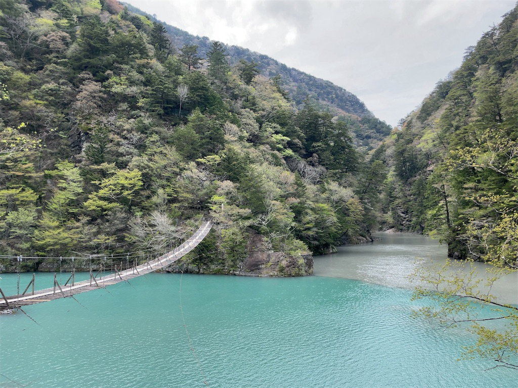 f:id:Fumirp0924:20241231225415j:image f:id:Fumirp0924:20241231225415j:image