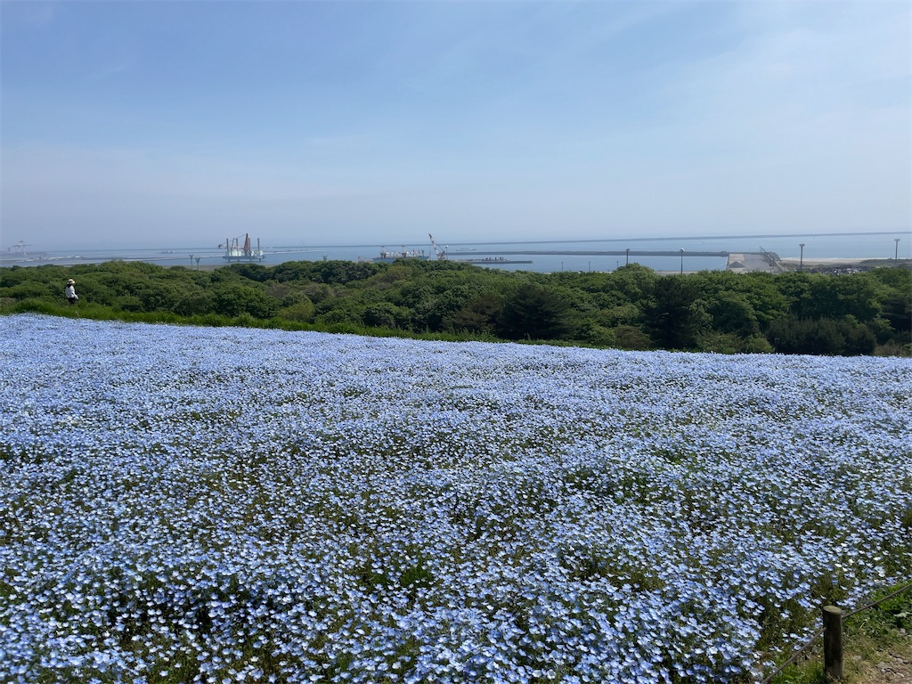 f:id:Fumirp0924:20241231225710j:image f:id:Fumirp0924:20241231225710j:image