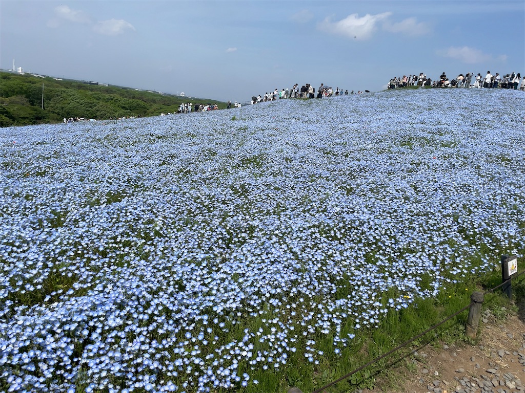 f:id:Fumirp0924:20241231225714j:image f:id:Fumirp0924:20241231225714j:image