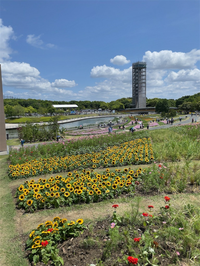 f:id:Fumirp0924:20241231225954j:image f:id:Fumirp0924:20241231225954j:image