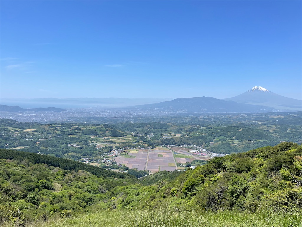 f:id:Fumirp0924:20241231230047j:image f:id:Fumirp0924:20241231230047j:image