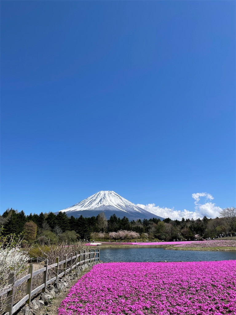 f:id:Fumirp0924:20251231113211j:image f:id:Fumirp0924:20251231113211j:image