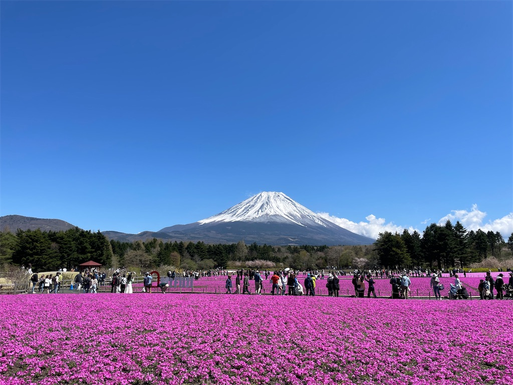 f:id:Fumirp0924:20251231113216j:image f:id:Fumirp0924:20251231113216j:image