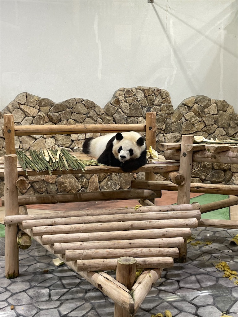 f:id:Fumirp0924:20251231113454j:image f:id:Fumirp0924:20251231113454j:image