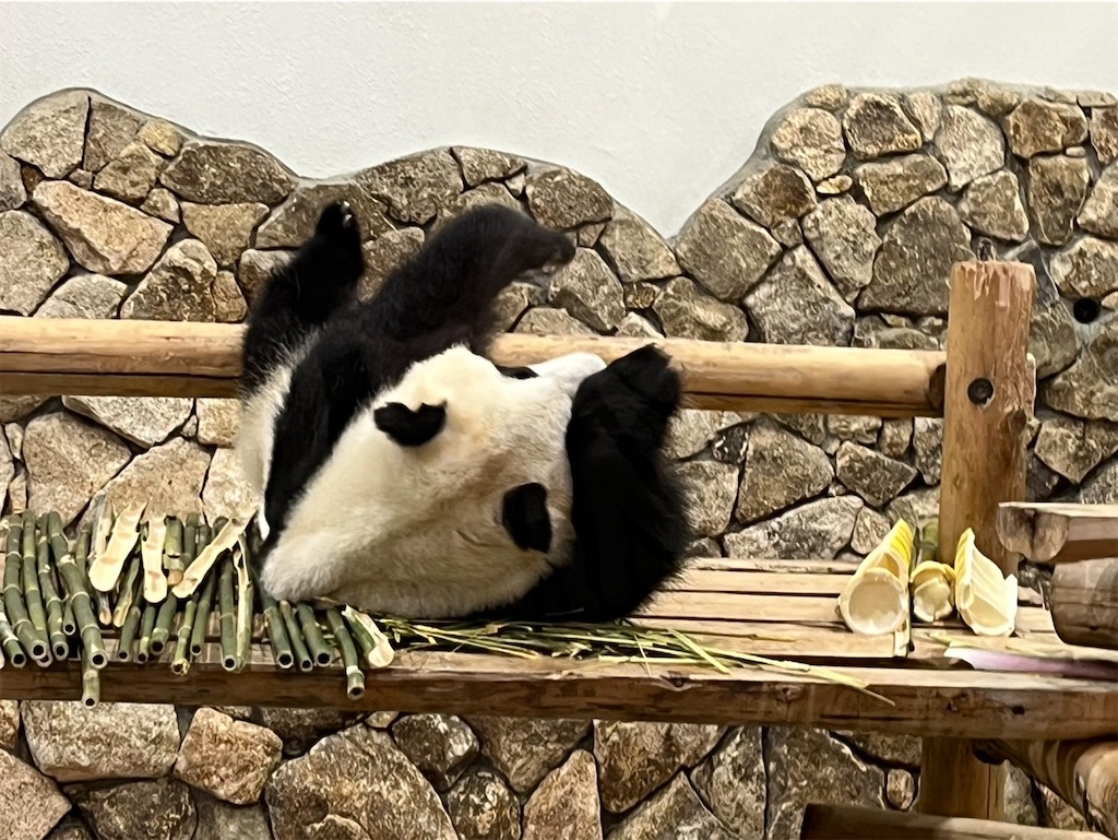 f:id:Fumirp0924:20251231113458j:image f:id:Fumirp0924:20251231113458j:image