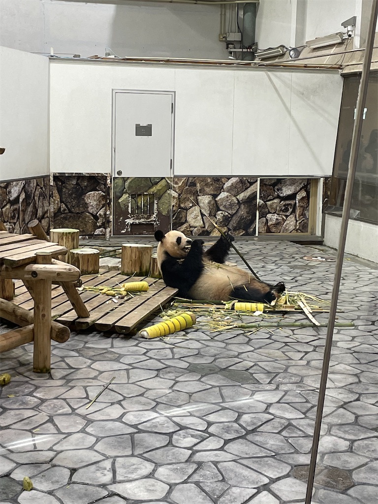 f:id:Fumirp0924:20251231113504j:image f:id:Fumirp0924:20251231113504j:image