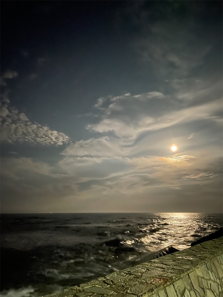 f:id:Fumirp0924:20251231212428j:image f:id:Fumirp0924:20251231212428j:image