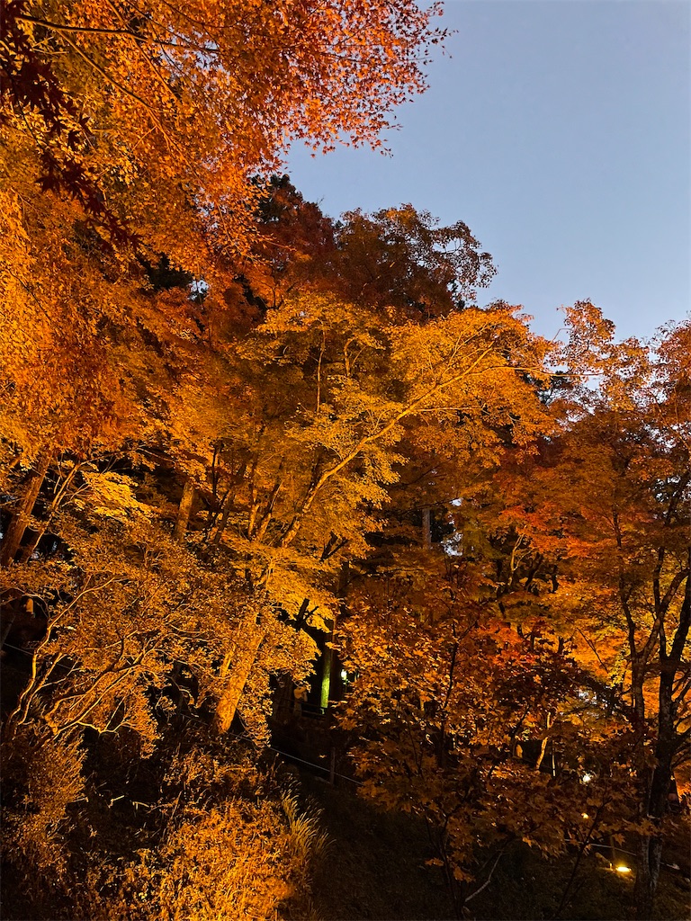 f:id:Fumirp0924:20251231214440j:image f:id:Fumirp0924:20251231214440j:image