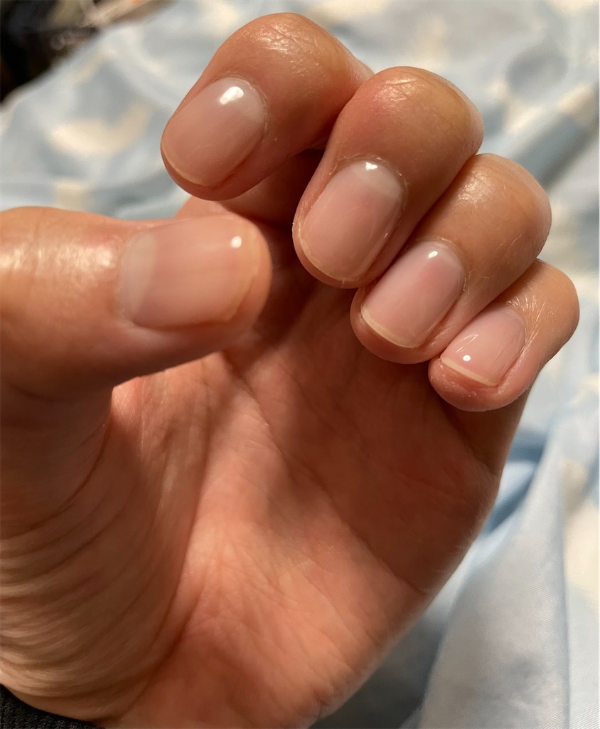 f:id:Fumirp0924:20251231214914j:image f:id:Fumirp0924:20251231214914j:image