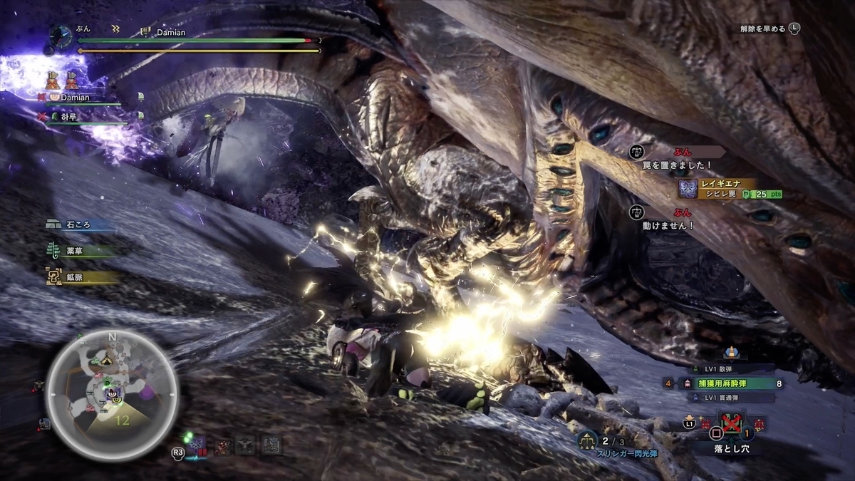 おのれガジャブー 罠ひいて捕獲って時に麻痺らせやがって アイスボーン ふんのモンハン日記