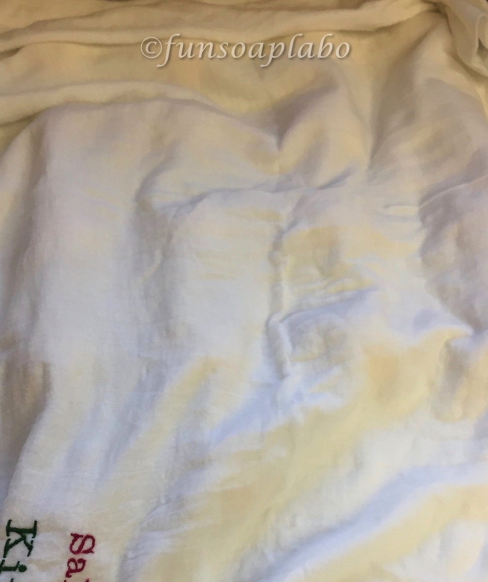 f:id:FunSoapLabo:20200420111624j:plain