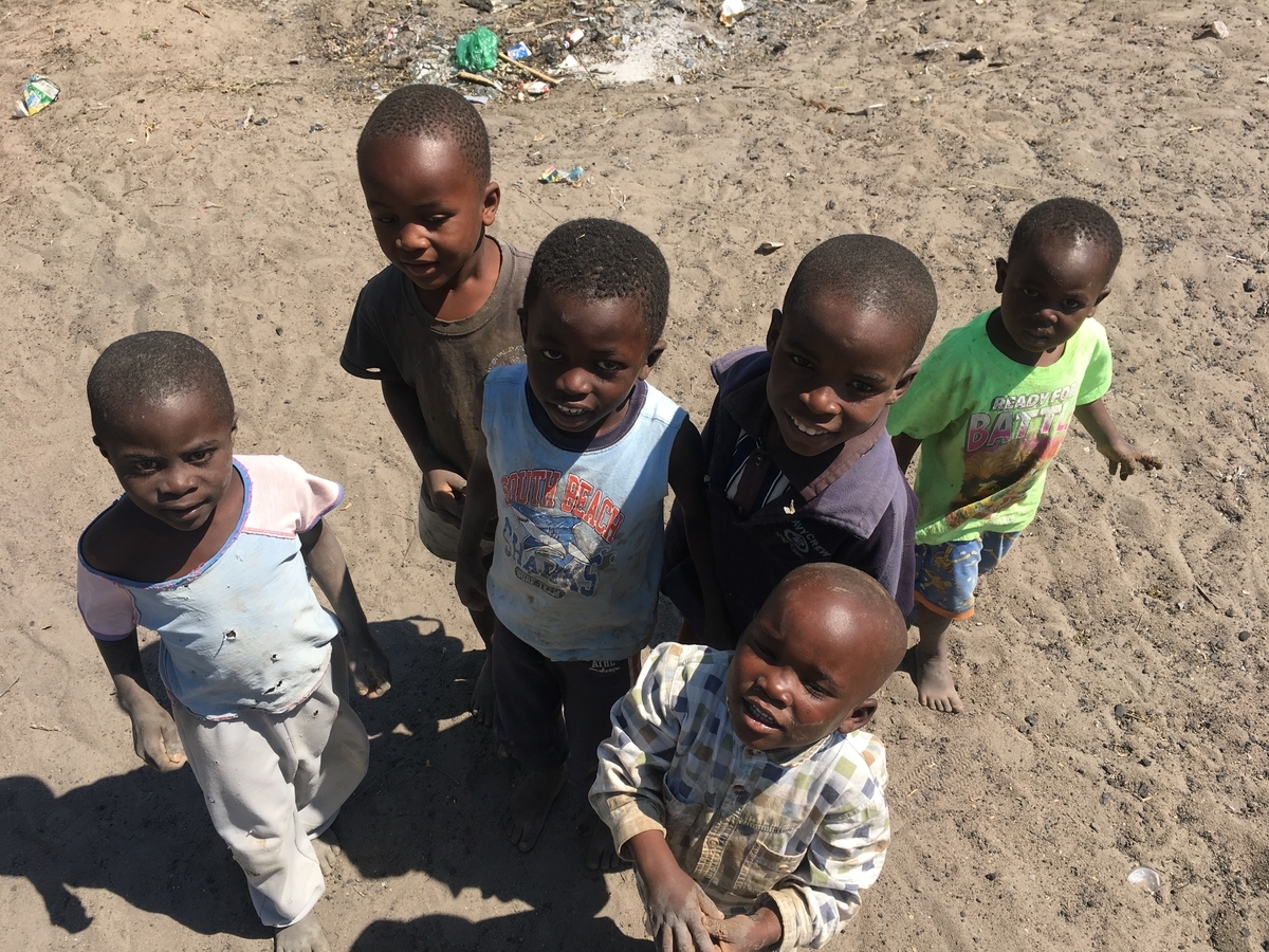 f:id:Fundoshighostcat:20191025205157j:plain f:id:Fundoshighostcat:20191025205157j:plain