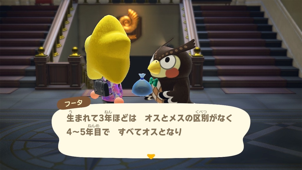 f:id:Funfunny:20250912150438j:image f:id:Funfunny:20250912150438j:image