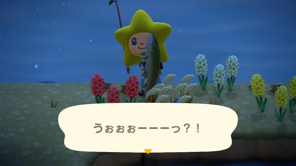 f:id:Funfunny:20251212102826j:image