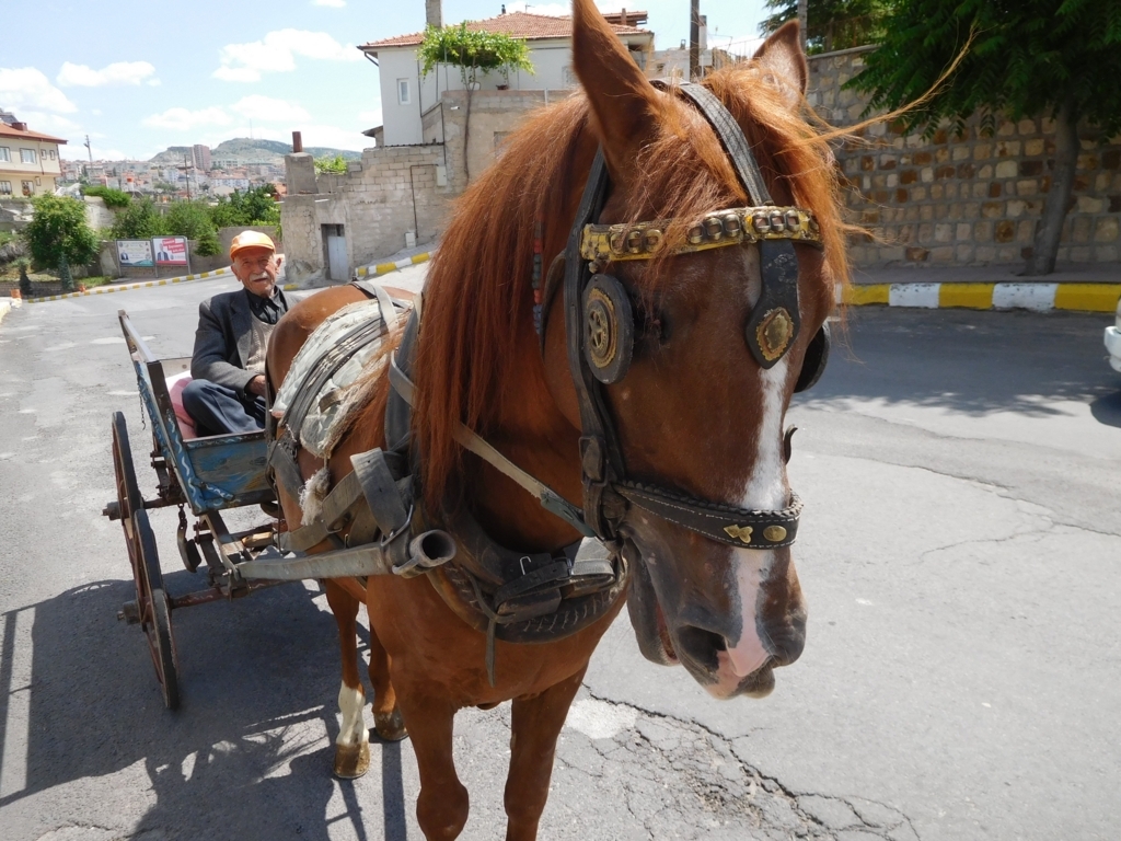 f:id:Funokainen:20170820140615j:plain