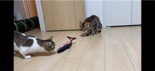 f:id:Furukawake:20220125085548p:image