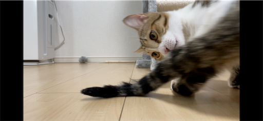 f:id:Furukawake:20220320151613p:image
