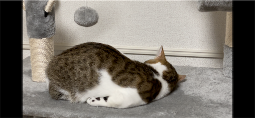 f:id:Furukawake:20220321124516p:image