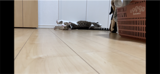 f:id:Furukawake:20220427231849p:image