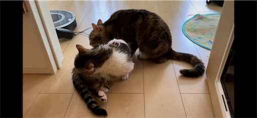 f:id:Furukawake:20220512130826p:image f:id:Furukawake:20220512130826p:image