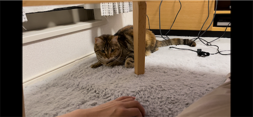 f:id:Furukawake:20221001112944p:image