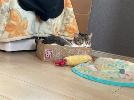 f:id:Furukawake:20221210102605j:image