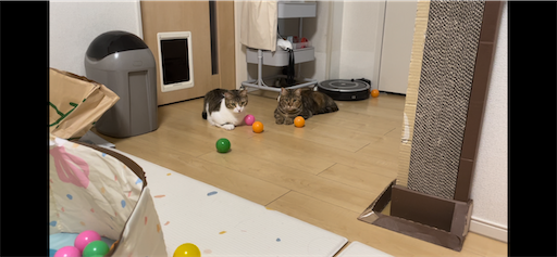 f:id:Furukawake:20231002064551p:image