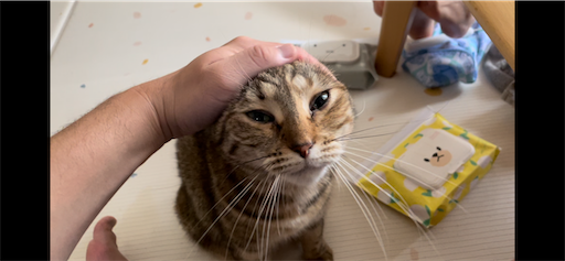 f:id:Furukawake:20231216221505p:image