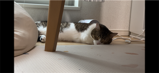f:id:Furukawake:20240503060952p:image