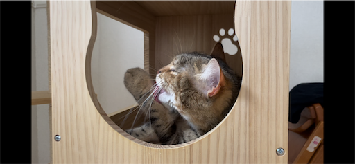 f:id:Furukawake:20240512211135p:image