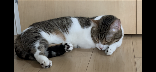 f:id:Furukawake:20240522203118p:image