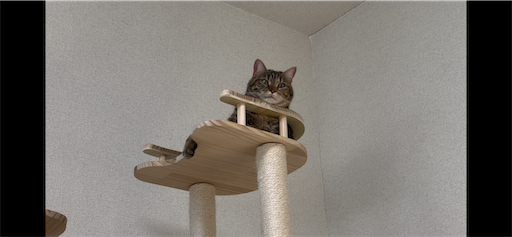 f:id:Furukawake:20240606133258p:image
