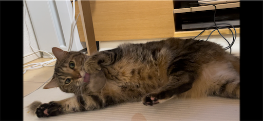 f:id:Furukawake:20240609151534p:image