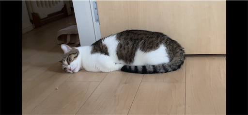 f:id:Furukawake:20240628221208p:image