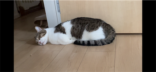 f:id:Furukawake:20240628221220p:image