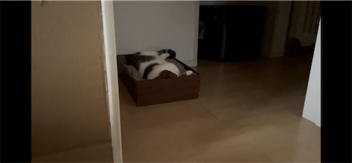 f:id:Furukawake:20240810230708p:image