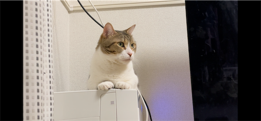 f:id:Furukawake:20240819192909p:image