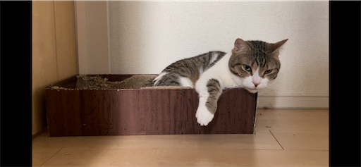 f:id:Furukawake:20240826001602p:image