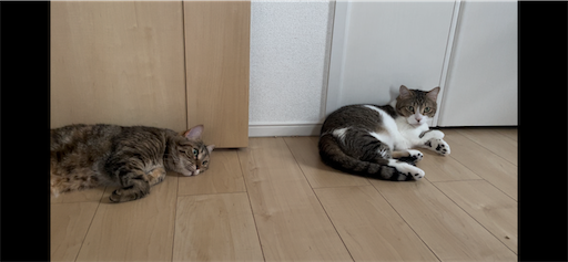 f:id:Furukawake:20240929015638p:image