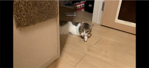 f:id:Furukawake:20241013102244p:image