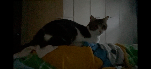 f:id:Furukawake:20241130152032p:image